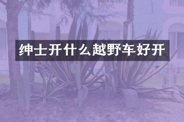绅士开什么越野车好开