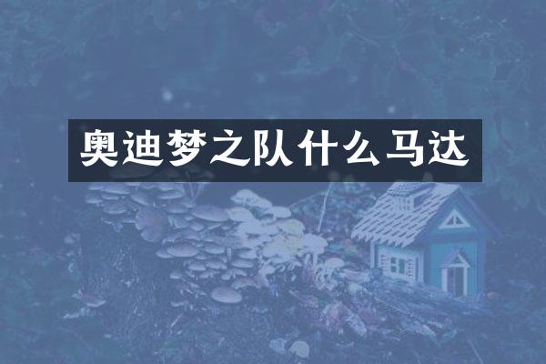 奥迪梦之队什么马达
