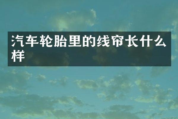 汽车轮胎里的线帘长什么样