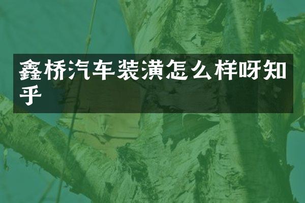 鑫桥汽车装潢怎么样呀知乎