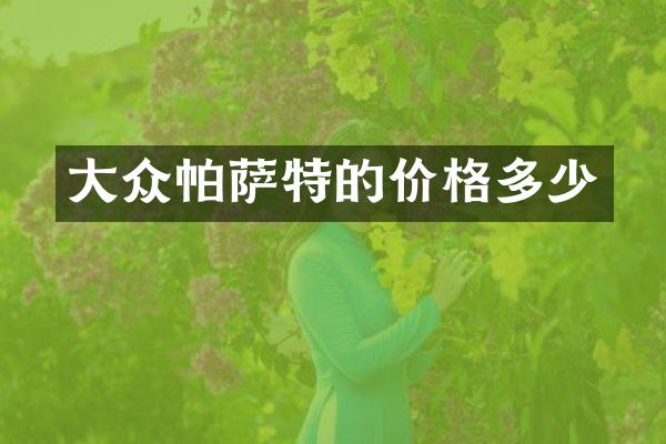 大众帕萨特的价格多少