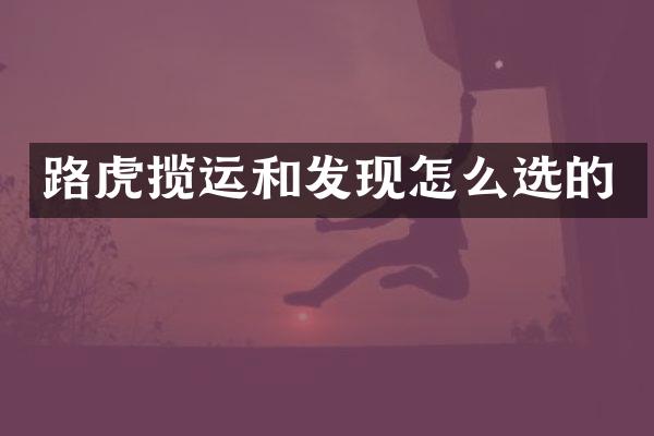 路虎揽运和发现怎么选的