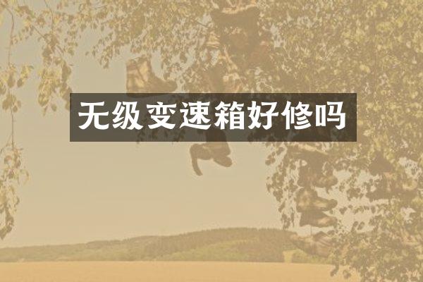 无级变速箱好修吗