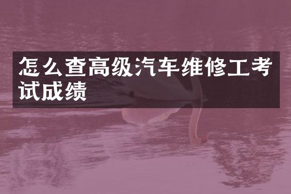怎么查高级汽车维修工考试成绩