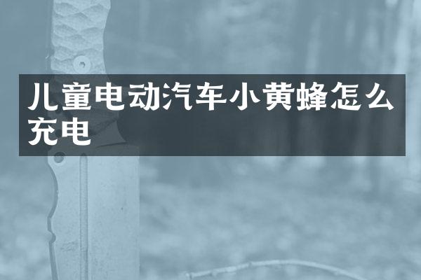 儿童电动汽车小黄蜂怎么充电