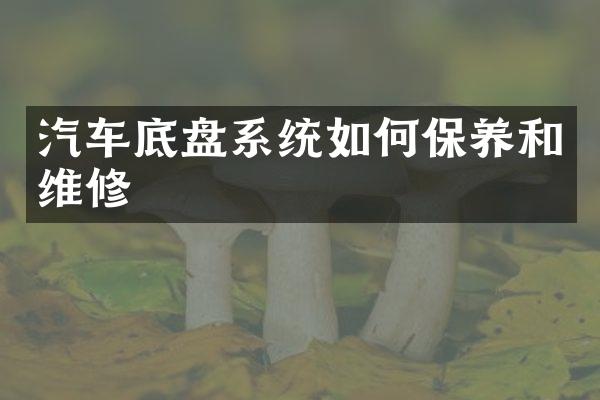 汽车底盘系统如何保养和维修