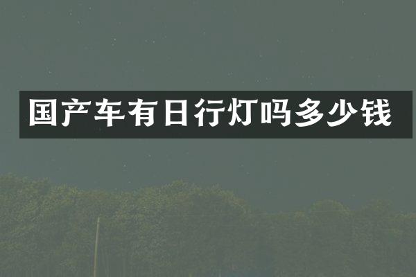 国产车有日行灯吗多少钱