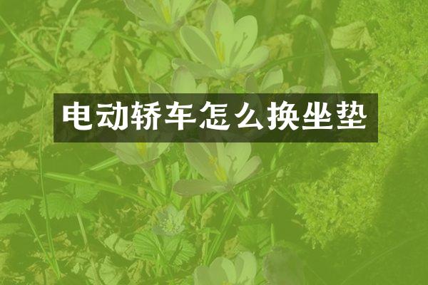 电动轿车怎么换坐垫