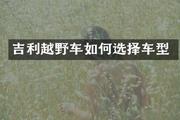 吉利越野车如何选择车型