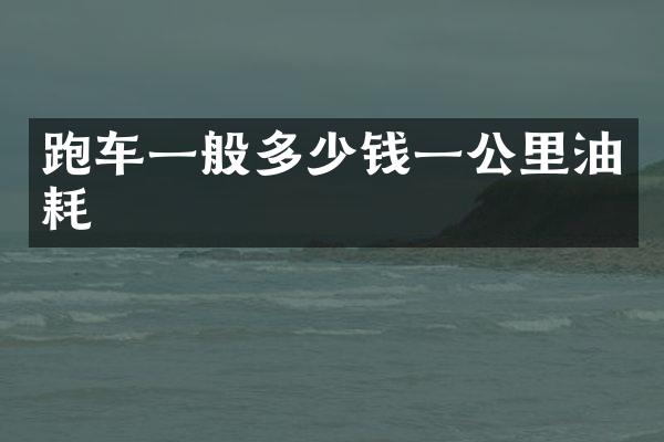 跑车一般多少钱一公里油耗