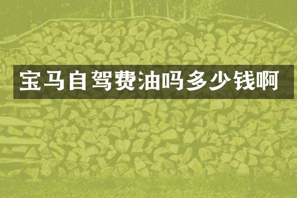 宝马自驾费油吗多少钱啊
