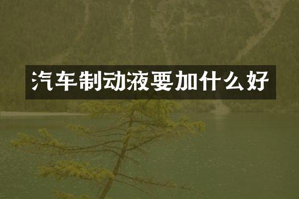 汽车制动液要加什么好