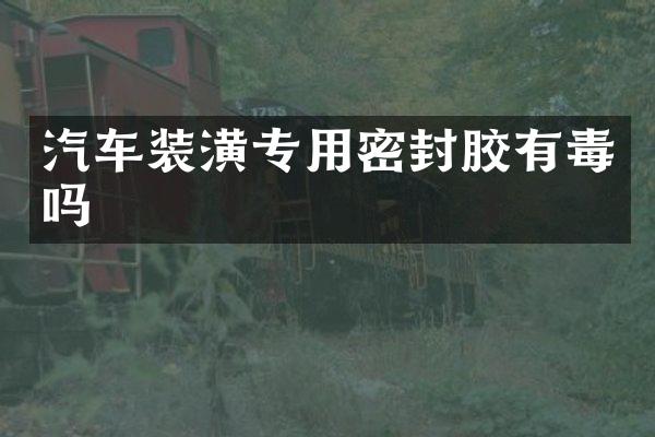 汽车装潢专用密封胶有毒吗