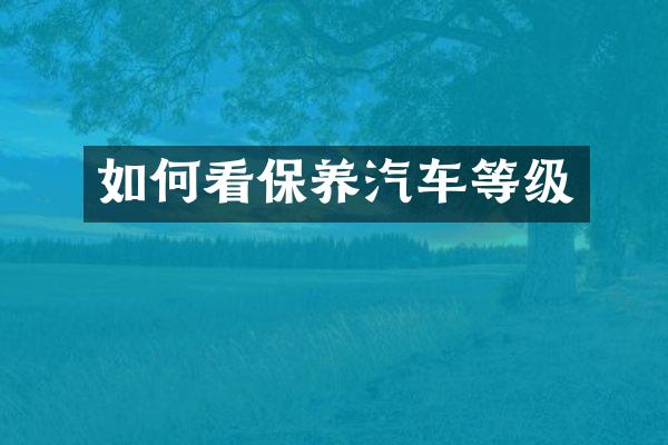 如何看保养汽车等级