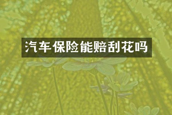 汽车保险能赔刮花吗