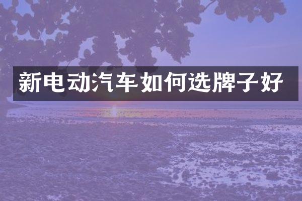 新电动汽车如何选牌子好
