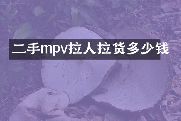 二手mpv拉人拉货多少钱