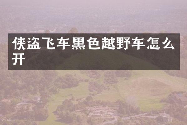 侠盗飞车黑色越野车怎么开