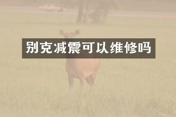 别克减震可以维修吗