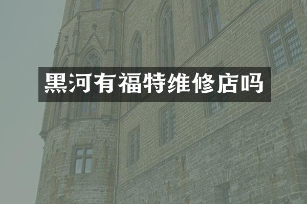 黑河有福特维修店吗