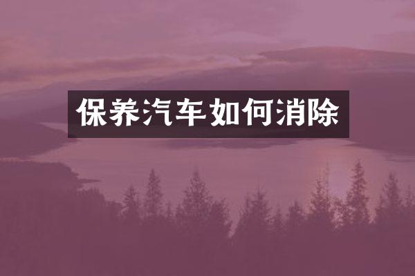 保养汽车如何消除
