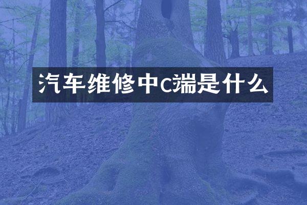 汽车维修中c端是什么