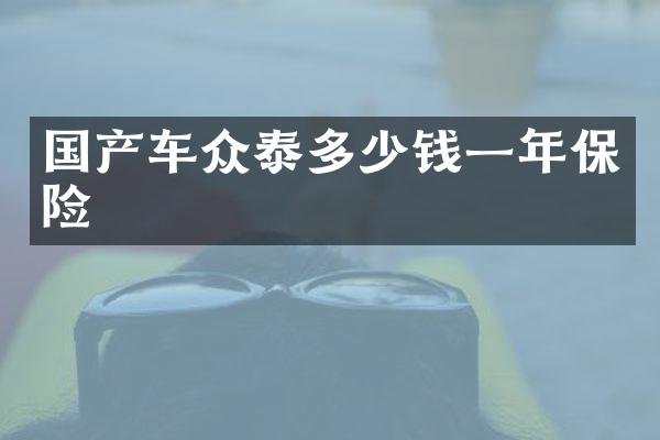 国产车众泰多少钱一年保险
