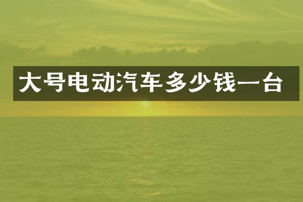 大号电动汽车多少钱一台