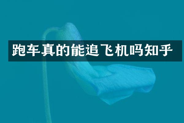 跑车真的能追飞机吗知乎
