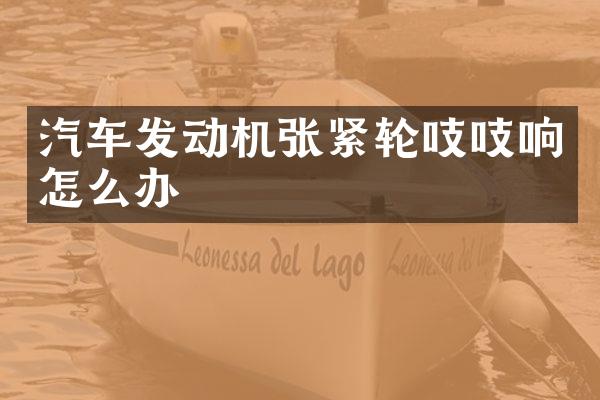 汽车发动机张紧轮吱吱响怎么办