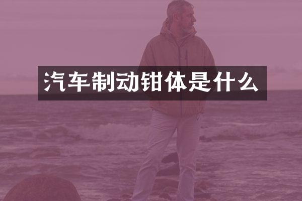 汽车制动钳体是什么