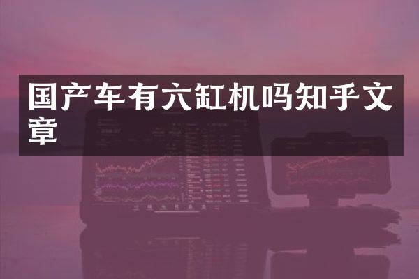 国产车有六缸机吗知乎文章