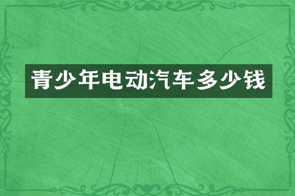青少年电动汽车多少钱