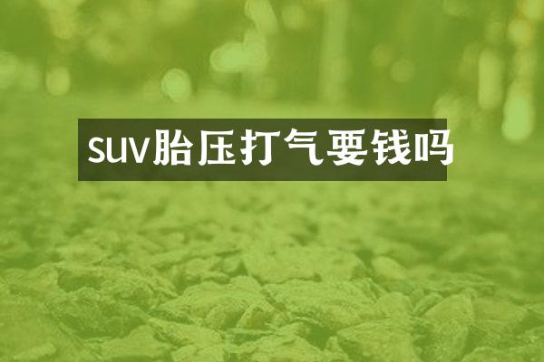 suv胎压打气要钱吗