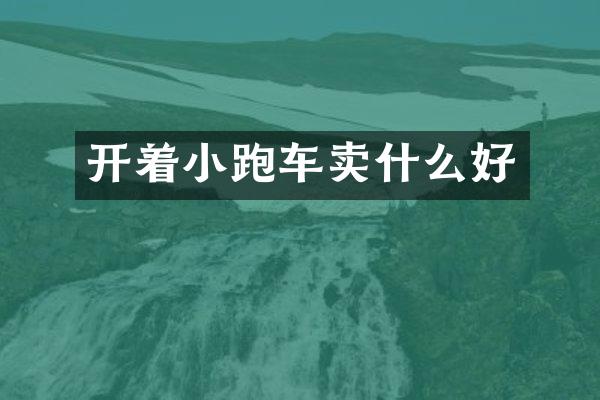 开着小跑车卖什么好