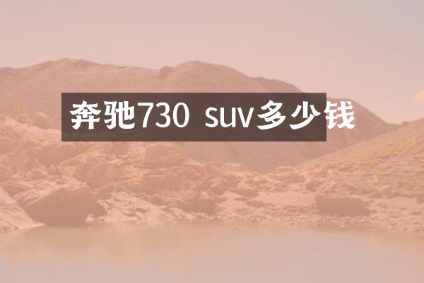 奔驰730 suv多少钱