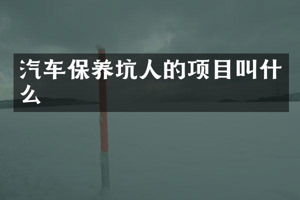 汽车保养坑人的项目叫什么