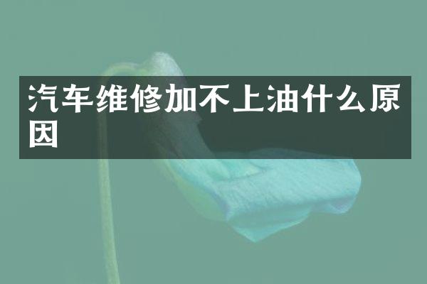 汽车维修加不上油什么原因