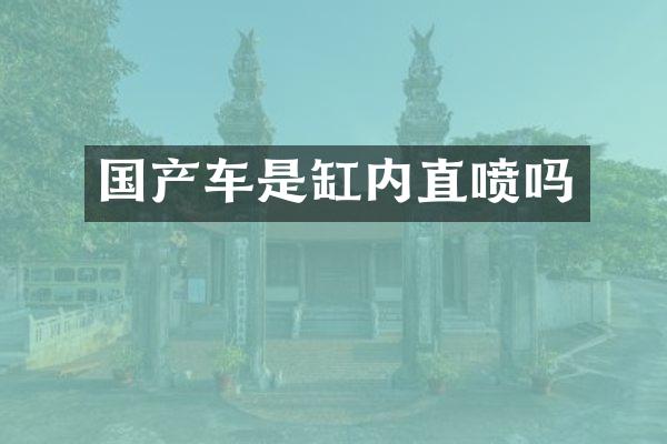 国产车是缸内直喷吗