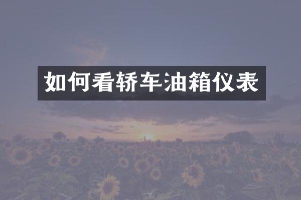 如何看轿车油箱仪表