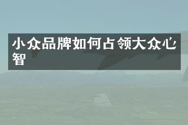 小众品牌如何占领大众心智
