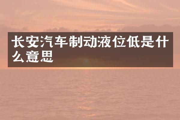 长安汽车制动液位低是什么意思