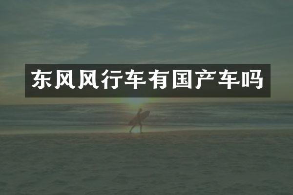 东风风行车有国产车吗