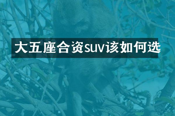 大五座合资suv该如何选