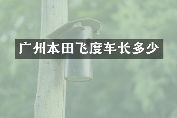 广州本田飞度车长多少