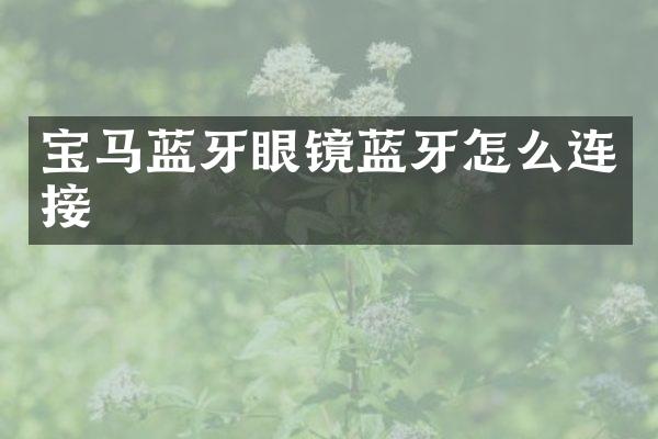 宝马蓝牙眼镜蓝牙怎么连接