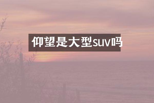仰望是大型suv吗