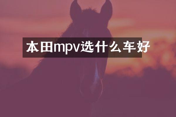 本田mpv选什么车好