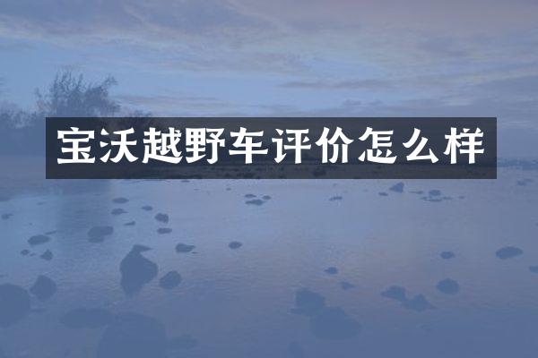 宝沃越野车评价怎么样