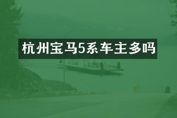 杭州宝马5系车主多吗